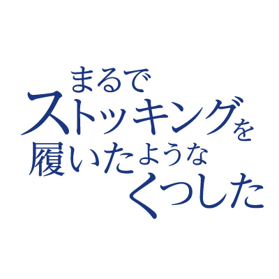 まるでストッキングを履いたようなくつした