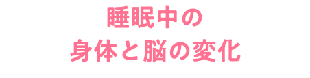 睡眠中の 身体と脳の変化